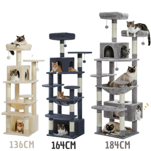 Arbres à chats PRENIUM