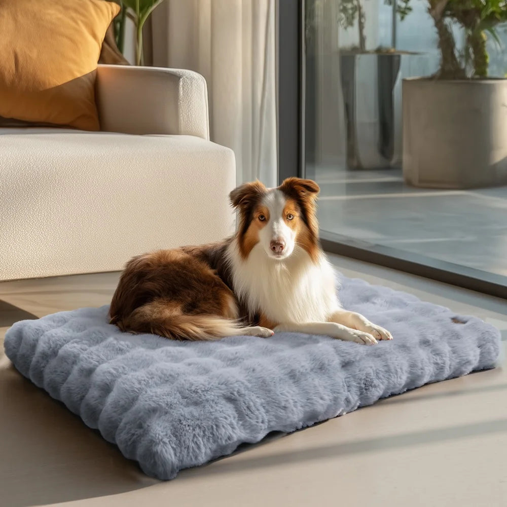 Panier Relax Premium pour Chiens